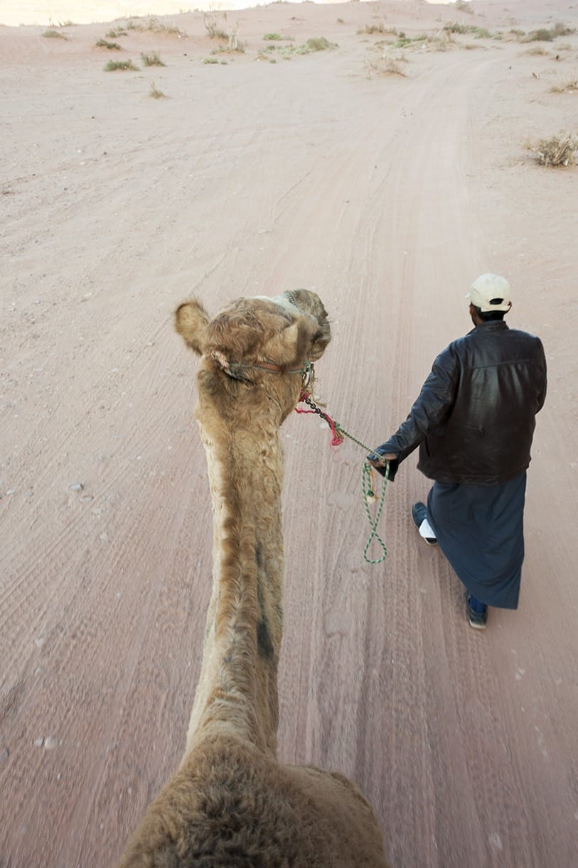 adventure activities wadi rum camel