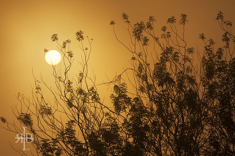 Mount Kinabalu Sunrise Fog