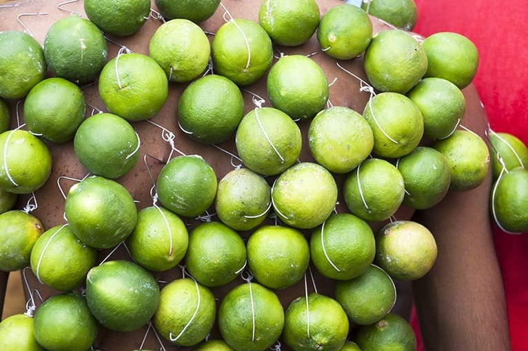 Thaipusam Lime Back