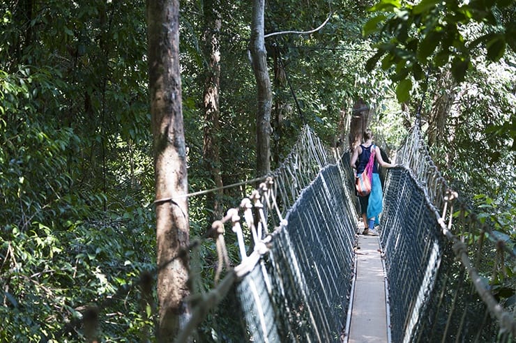 Taman Negara Rope Bridge