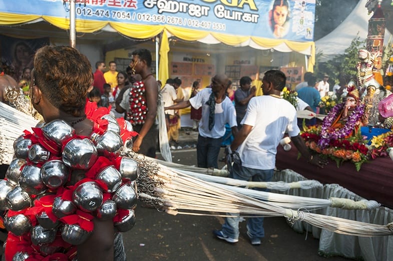 Thaipusam Who Needs Horses