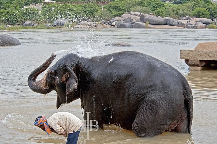 India Hampi elephant wash spray