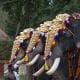 India Onam elephants 2
