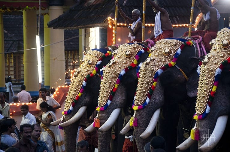 India Onam elephants in line