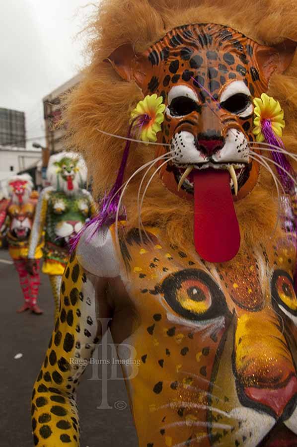 Pulikkali-tiger-man