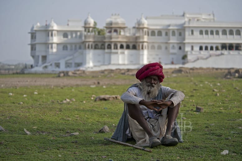 Udaipur shepherd