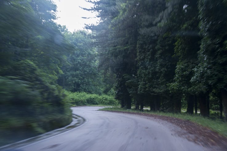 Foresta Umbra Blurry Forest Road