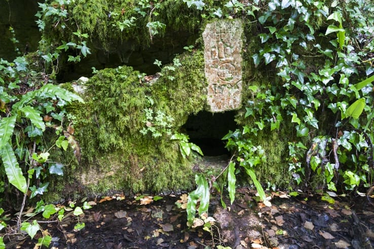 Foresta Umbra fountain rock