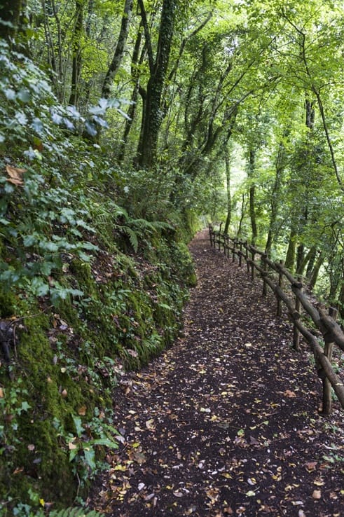 Foresta Umbra Uphill Path