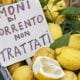 Italy Sorrento Unwaxed Lemons