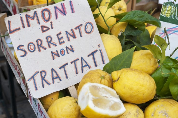 Italy Sorrento Unwaxed Lemons