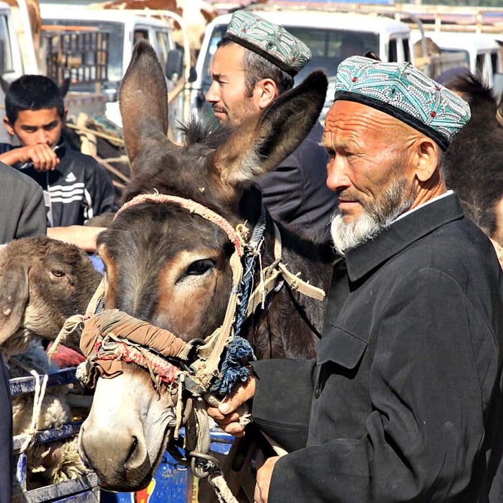 Karakoram Highway Kashgar Livestock Market