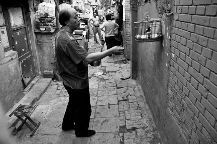 bird cage hutong beijing