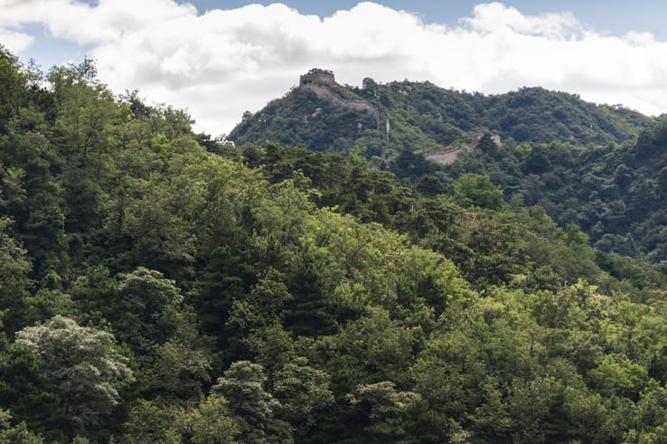 Great Wall at Mutianyu Forest