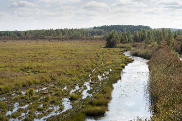 Finland Liminka Bay Stream
