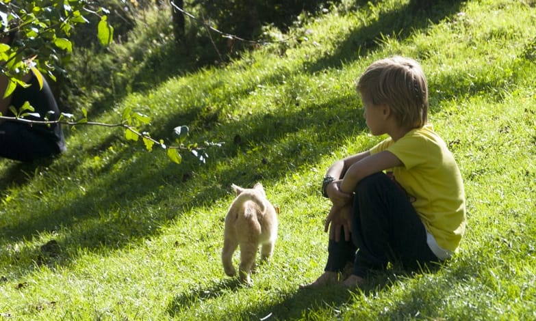 blonde kid with cat