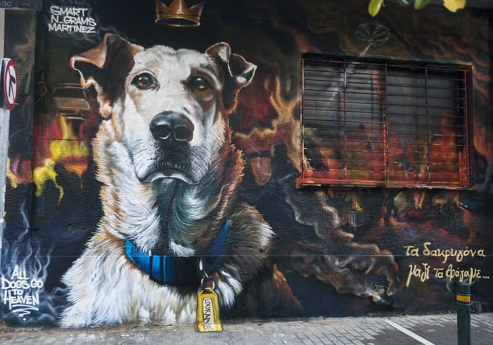 Athens Loukanikos, the protest dog