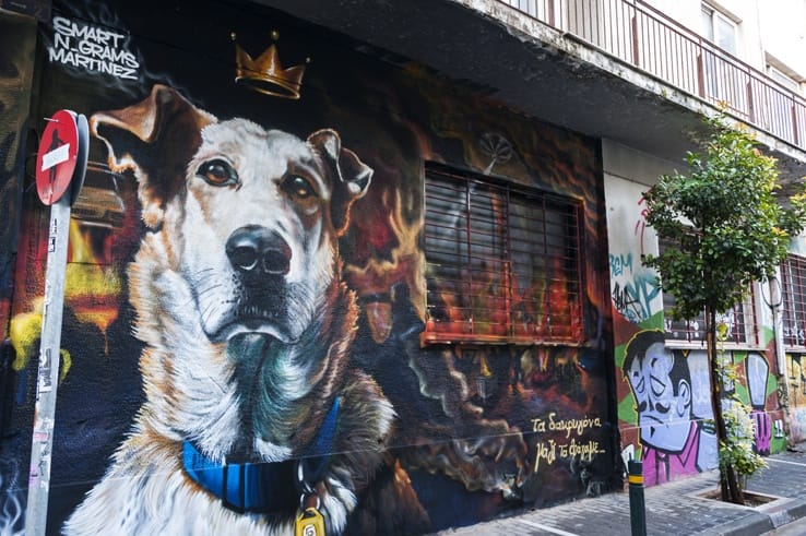 athens unusual Loukanikos the Protest Dog