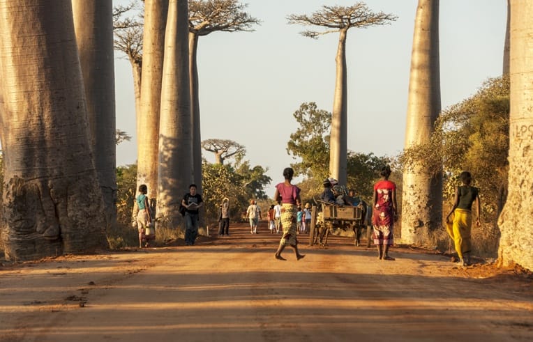 Madagascar Avenue of baobabs women
