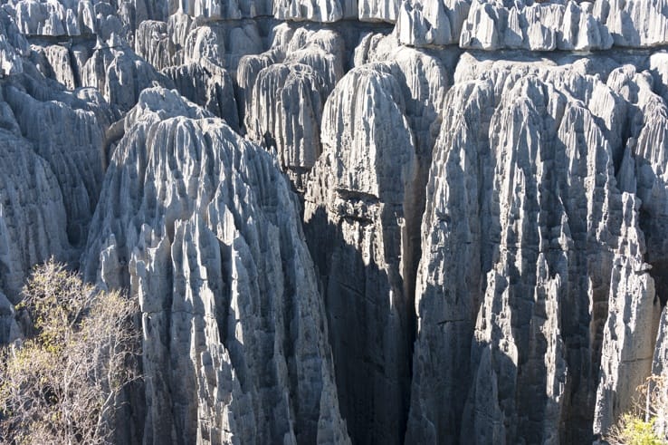 Tsingy de Bemaraha Limestone