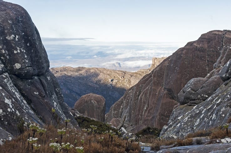 Climbing Pic Boby View