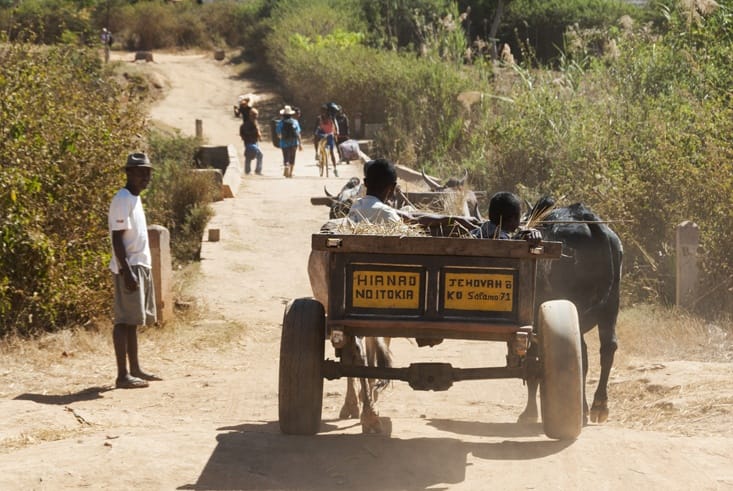 Madagascar Pic Boby Zebu Cart