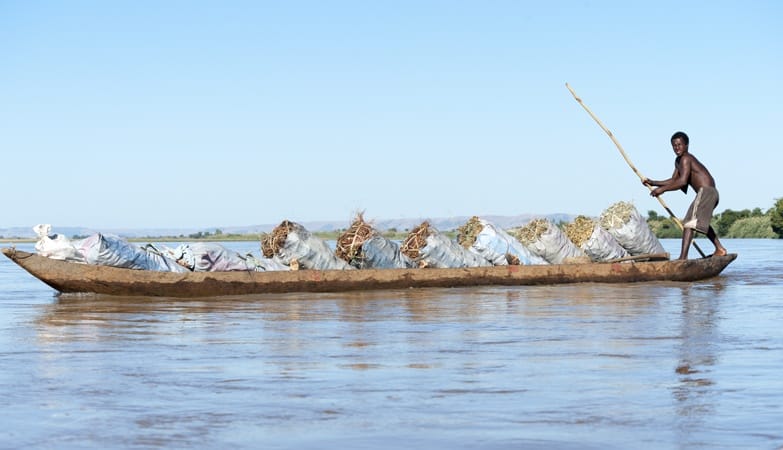 Madagascar Tsiribihina River pirogue