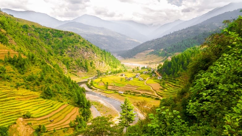 nepal lukla rice terraces
