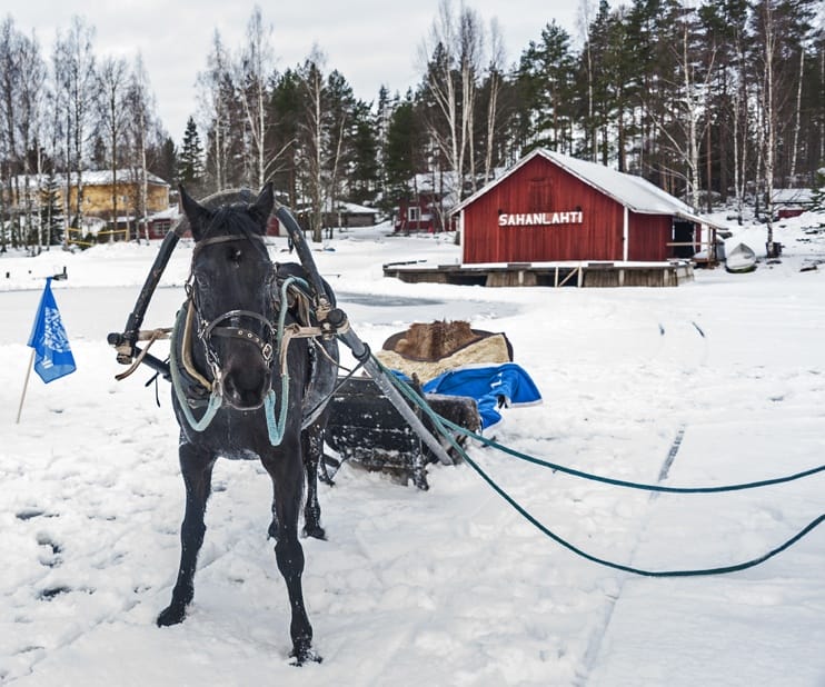 Horse sled mikkeli frozen lake