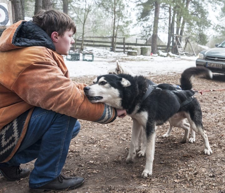 lithuania dogsledding boy with dogs