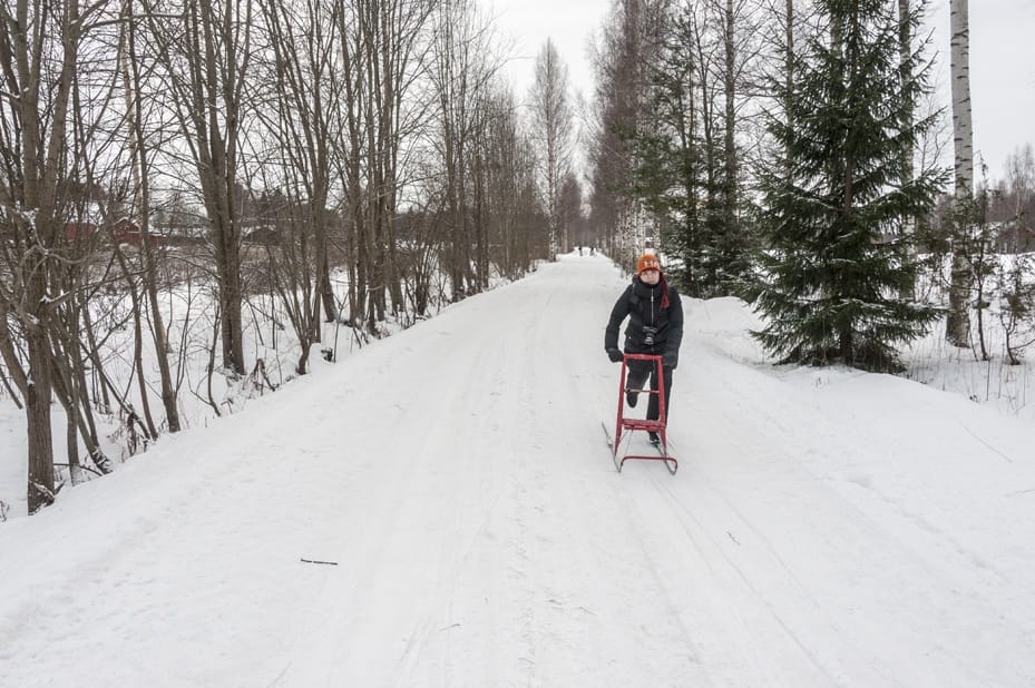 things to do in Mikkeli in Winter kick sled