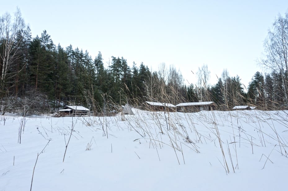 Snow and Reeds frozen lake saimaa
