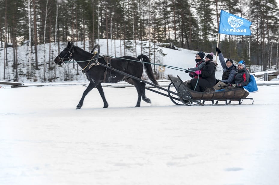 things to do in Mikkeli in Winter horse sledge
