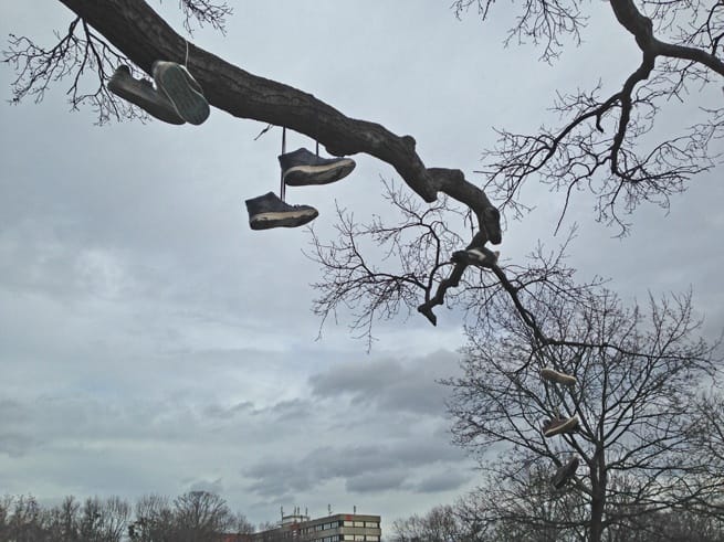 tree with shoes heide park dresden