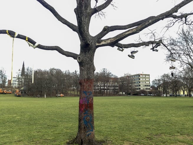 Quirky Heide Park tree