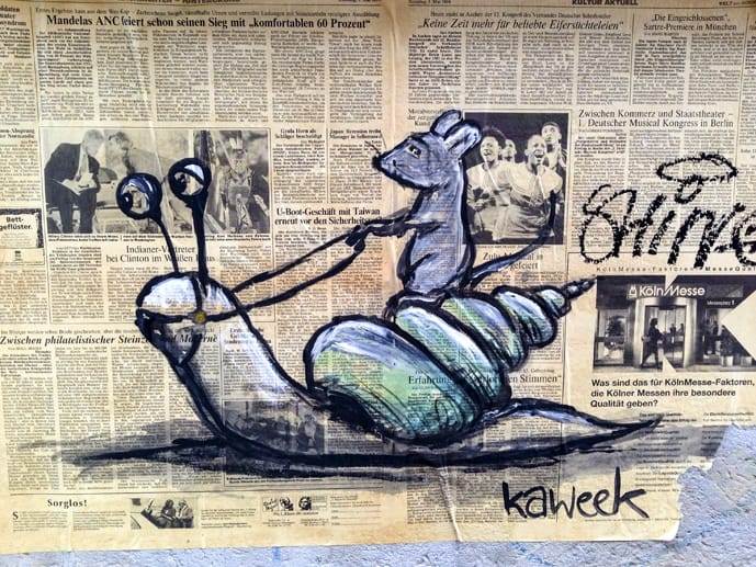 kaweek snail dresden