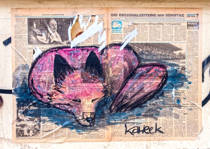 dresden street art kaweek fox
