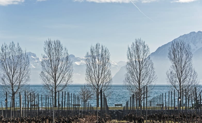 Lake front cully lake geneva