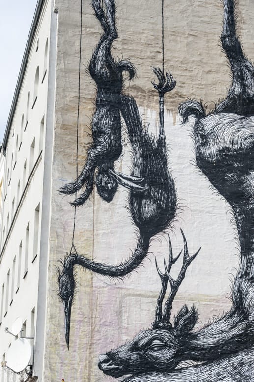 berlin street art roa kreuzberg