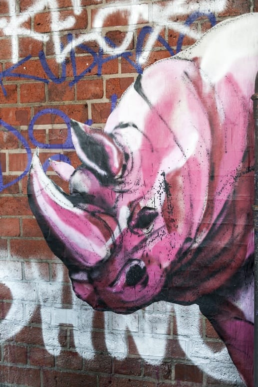 berlin street art pink rhino