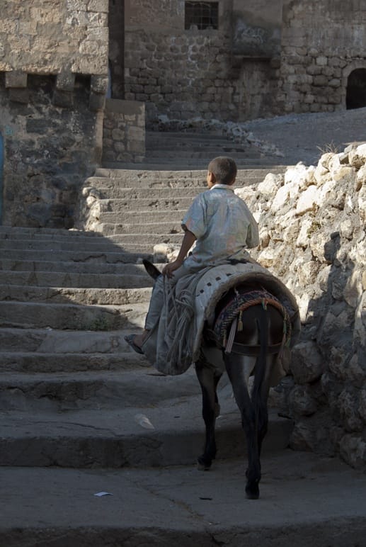 boy on donkey silk road travel