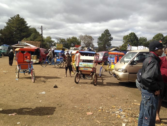 madagascar pousse pousse