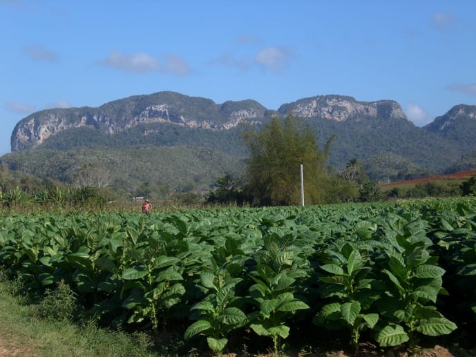 vinales landscape cuba