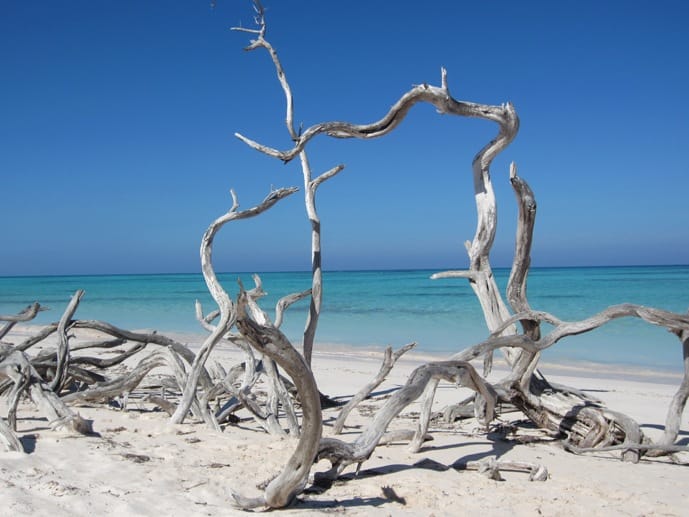 travel to cuba cayo jutias