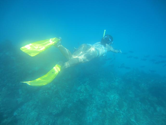 travel to cuba snorkeling cayo jutias