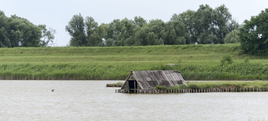 lagoon hut reeds