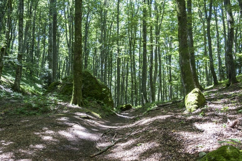 Two Wild Days in the Romagna Apennines - The Crowded Planet