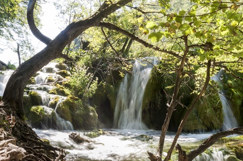 forest waterfall croatia