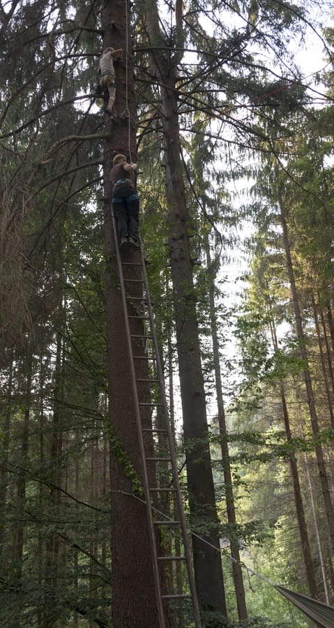 tree climbing czech adventures