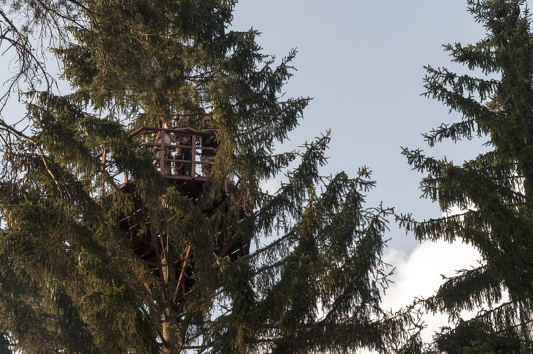 czech adventures treeclimbing